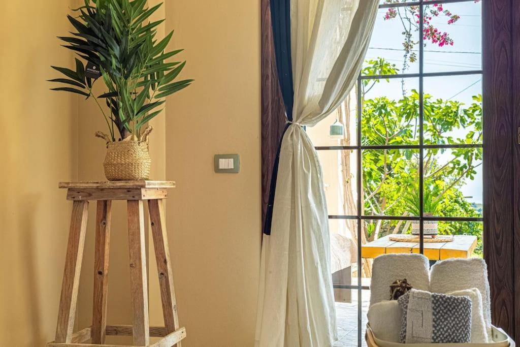 Apartment Color - South Paradise 5 *