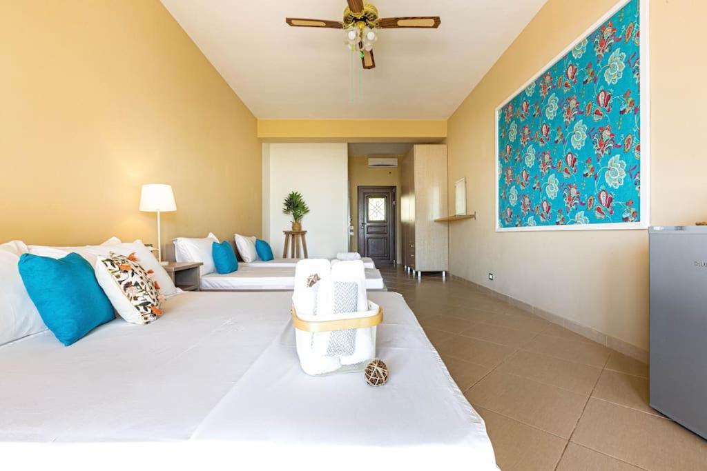 Apartment Color - South Paradise 5 Himare